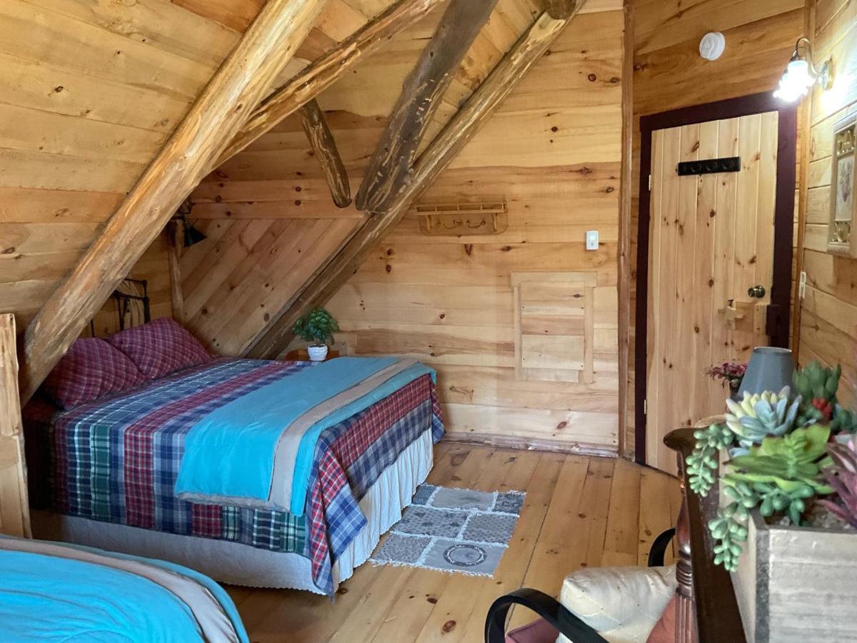 Lodge Solange Palatino Bridge 외부 사진